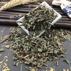 Cây Cải Trời Khô