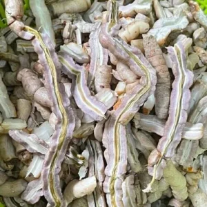 Ba Kích Rừng Tím Rừng