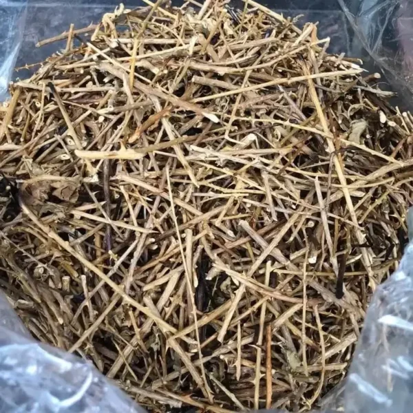 Cà Gai Leo Khô